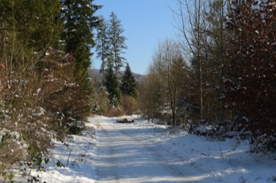 Brislachwinter