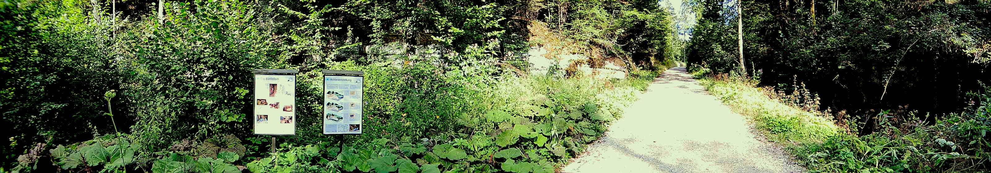 BaettlerlochPanorama