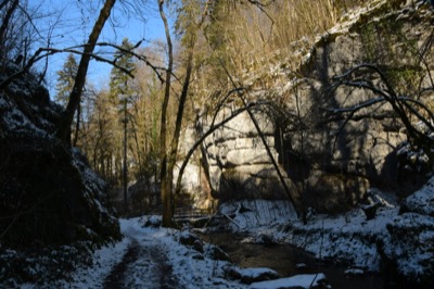 Winter2